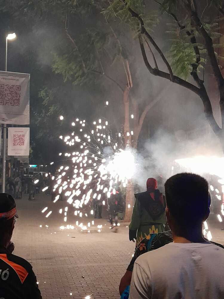 Celebración Fiesta Centenario del Barrio de Sales 